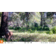 Bushnell Dual Core Trail Camera, 30MP, Low Glow, Box, Treebark, Camo, 119975C