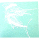 Calcutta Fish Decals