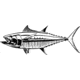 Calcutta Fish Decals