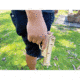 Caliber Gourmet 97-Piece 3D Rubber Band Gun Puzzle, Hand Gun Replica, Plywood, CBG-P2L-01HG