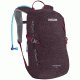 CamelBak Day Star 18 L Backpack - Women's-Beet Red/Winetasting-18 L