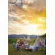 Camp Chef Safety Roasting Stick, 4 Piece, 4-Pack, Wood, Silver/Tan, SRS4E