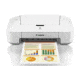 Canon PIXMA iP2820 Inkjet Printer,White 8745B002