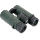 Carson 8x42mm RD Series Binocular w/Hard Protective Case, Green, RD-842