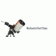 Celestron CGX-L Computerized Equatorial Mount  w/o Tripod 91532