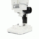 Celestron Labs S20 Stereo Microscope,10x Eyepieces,2x Objective Lenses 44207