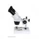 Celestron S10-30N, Stereo Microscope, White, 44138