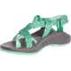 Chaco ZCloud 2 - Womens, Tidal Katydid, Medium, 8, J107084-8
