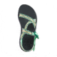 Chaco ZCloud - Womens, Wubwub Katydid, Medium, 7, J107094-7