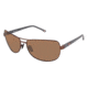 Champion 6014 Sunglasses - Frame SHINY DK BROWN, Lens Color Brown CU601402