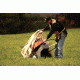 Champion Targets Trap Cover for SST and Easy Bird Automatic Traps