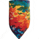 Chaos Graphic Fleece Bandana Assort 13G35003
