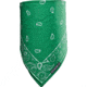 Chaos Paisley Fleece Bandana Assort 13G35004