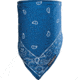 Chaos Paisley Fleece Bandana Assort 13G35004