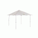 Coleman 10x10 Shelter Tent C001, Green, 2000029928