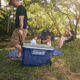 Coleman 316 Series 62-Quart Wheeled Hard Cooler, Twiling/Red, CM1010810001-46