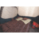 Coleman Tent Instant 4P C002, 2000018016