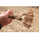 Conquest Scents Rope Scrape Kit