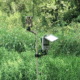 CrossFire Stealth Moutning Post Trail Camera