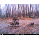 Cuddeback C2 Long Range Video Camera 20 MP Brown