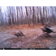 Cuddeback C2 Long Range Video Camera 20 MP Brown
