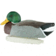 Cupped Waterfowl Outdoors Promo Decoy 12 Pack, Hens/Drakes, CU8734