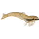 D.O.A. Shrimp Lures