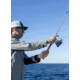 Daiwa Freams LT Spinning Fishing Reel