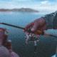 Daiwa Presso Air Spinning Fishing Rod