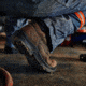 Danner Caliper 6in Work Shoes - Mens, Brown, 9 US, EE, 19452-9EE