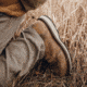 Danner Cedar River Moc Toe Hunter 8in Shoes - Mens, Regular, Timberwolf, 8.5, 14304-8.5D