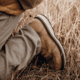 Danner Cedar River Moc Toe Hunter 8in Shoes - Mens, Regular, Timberwolf, 9, 14304-9D