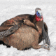 Dave Smith Decoys Feeding Hen Decoy
