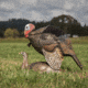 Dave Smith Decoys Mating Motion Pair Decoy