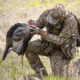 Dave Smith Decoys Mating Motion Pair Decoy