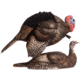 Dave Smith Decoys Mating Motion Pair Decoy