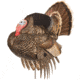 Dave Smith Decoys Strutter, Black 87099