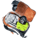 Deuter Alproof 32 Pack, Chestnut/Black, 32, 331032397020