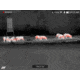 DNT Optics H635R Hound Handheld Thermal Monocular