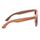Earth Delray Sunglasses, 016bk, ESG016BK