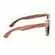 Earth Delray Sunglasses, 016sm, ESG016SM
