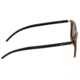 Earth Doumia Polarized Sunglasses - Unisex, Zebrawood/Black, One Size, ESG043ZB