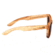 Earth Panama Sunglasses, 083z, ESG083Z