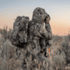 Eberlestock Bandit Daypack, Mirage, H31HR