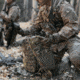 Eberlestock Mission Wings, Coyote Brown, MW1MC