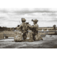 Eberlestock Tomahawk Pack, Military Green, F53MJ