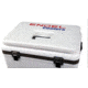 Engel Cushion