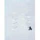 Eppendorf Combitips Plus Tips for Eppendorf Repeater Plus Pipettor 022496069 Biopur Combitips Plus Tips, Sterile