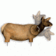 Extreme Dimension Wildlife Calls Phantom HD Decoy - Cow Elk ED-PD-505