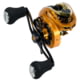 Favorite Fishing Soleus XCS casting reel, Gold/Gold 8.1-1, Right, Gold/Gold, SLSG8XR